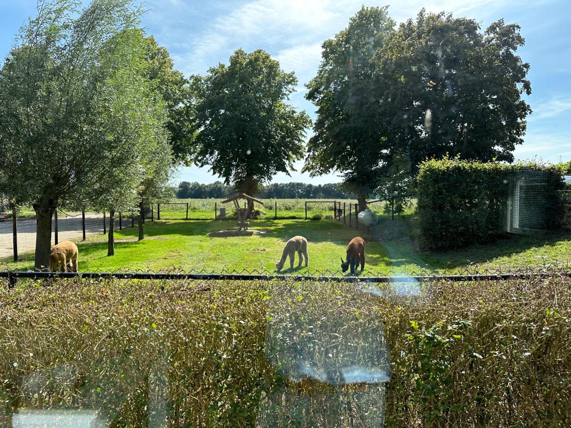 Alpacafarm Vorstenbosch 외부 사진