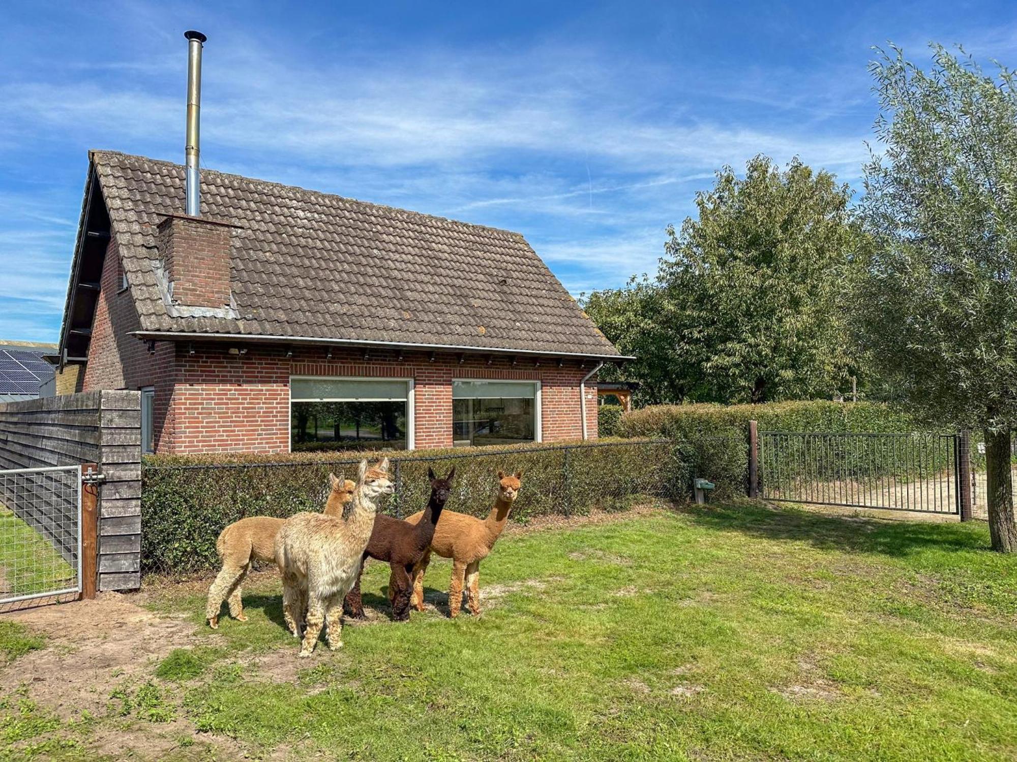 Alpacafarm Vorstenbosch 외부 사진