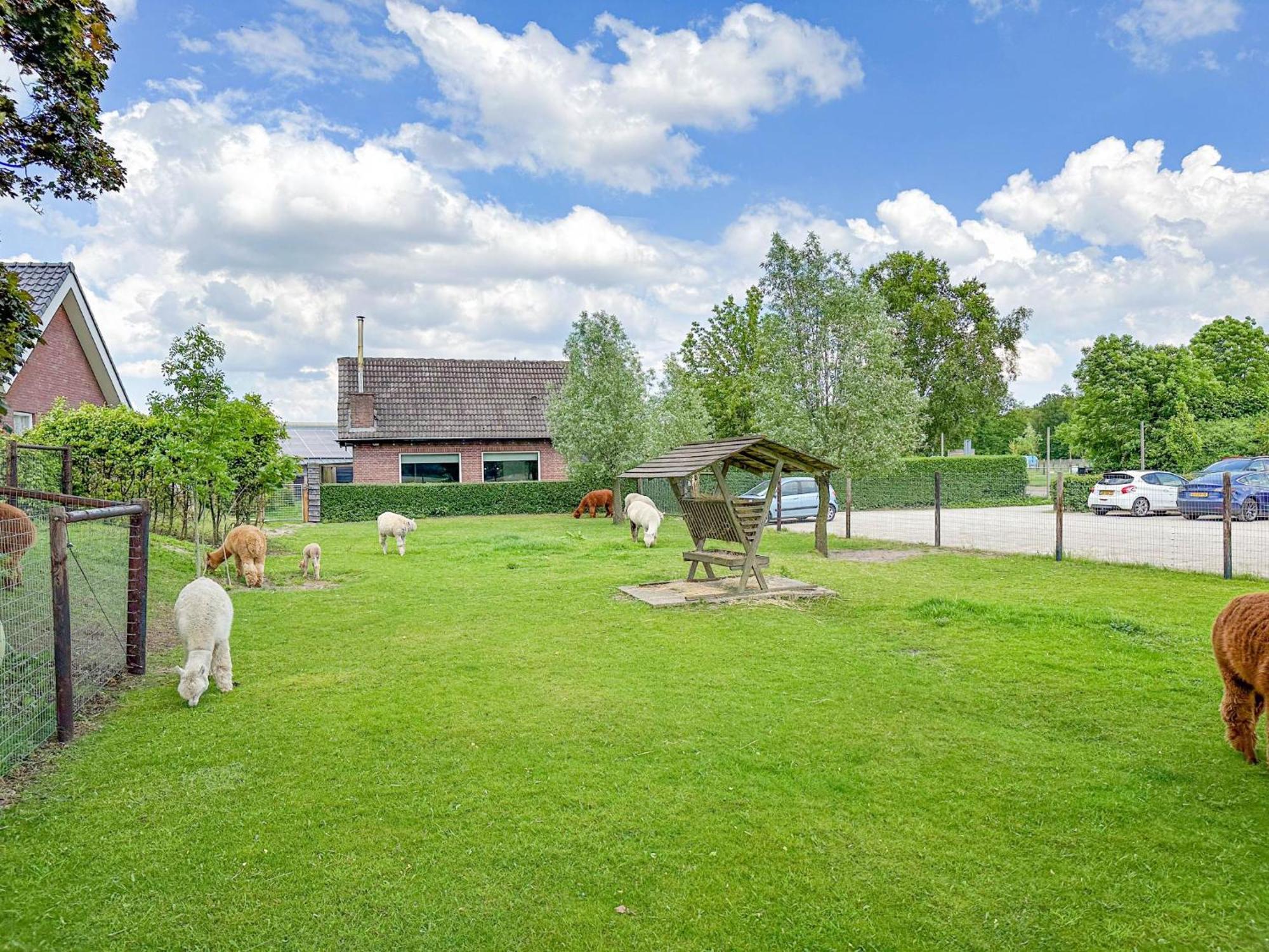 Alpacafarm Vorstenbosch 외부 사진