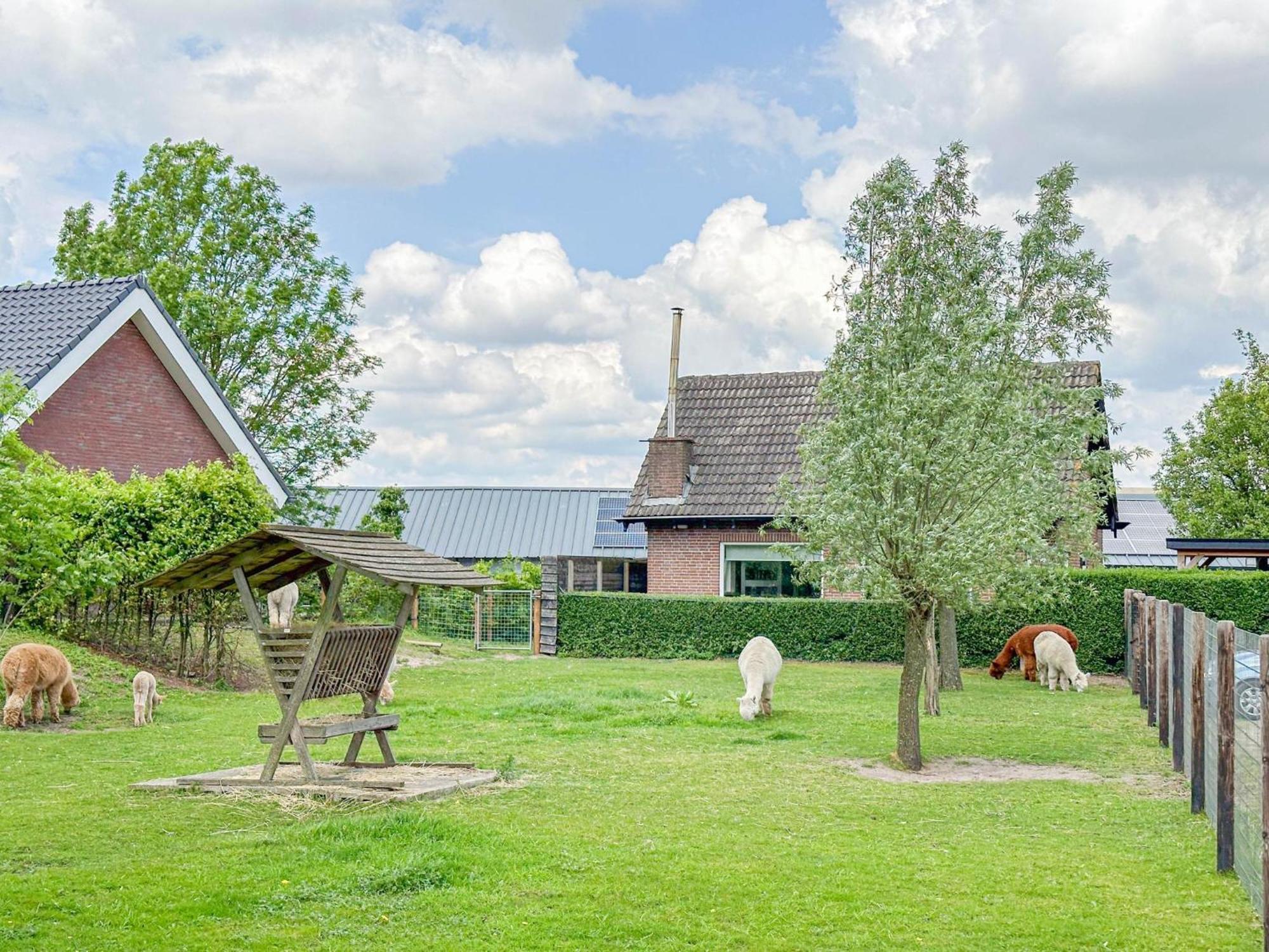 Alpacafarm Vorstenbosch 외부 사진