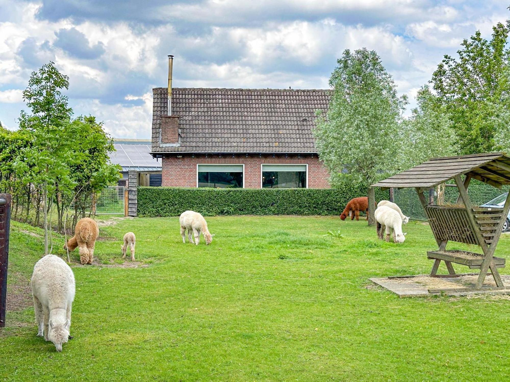 Alpacafarm Vorstenbosch 외부 사진