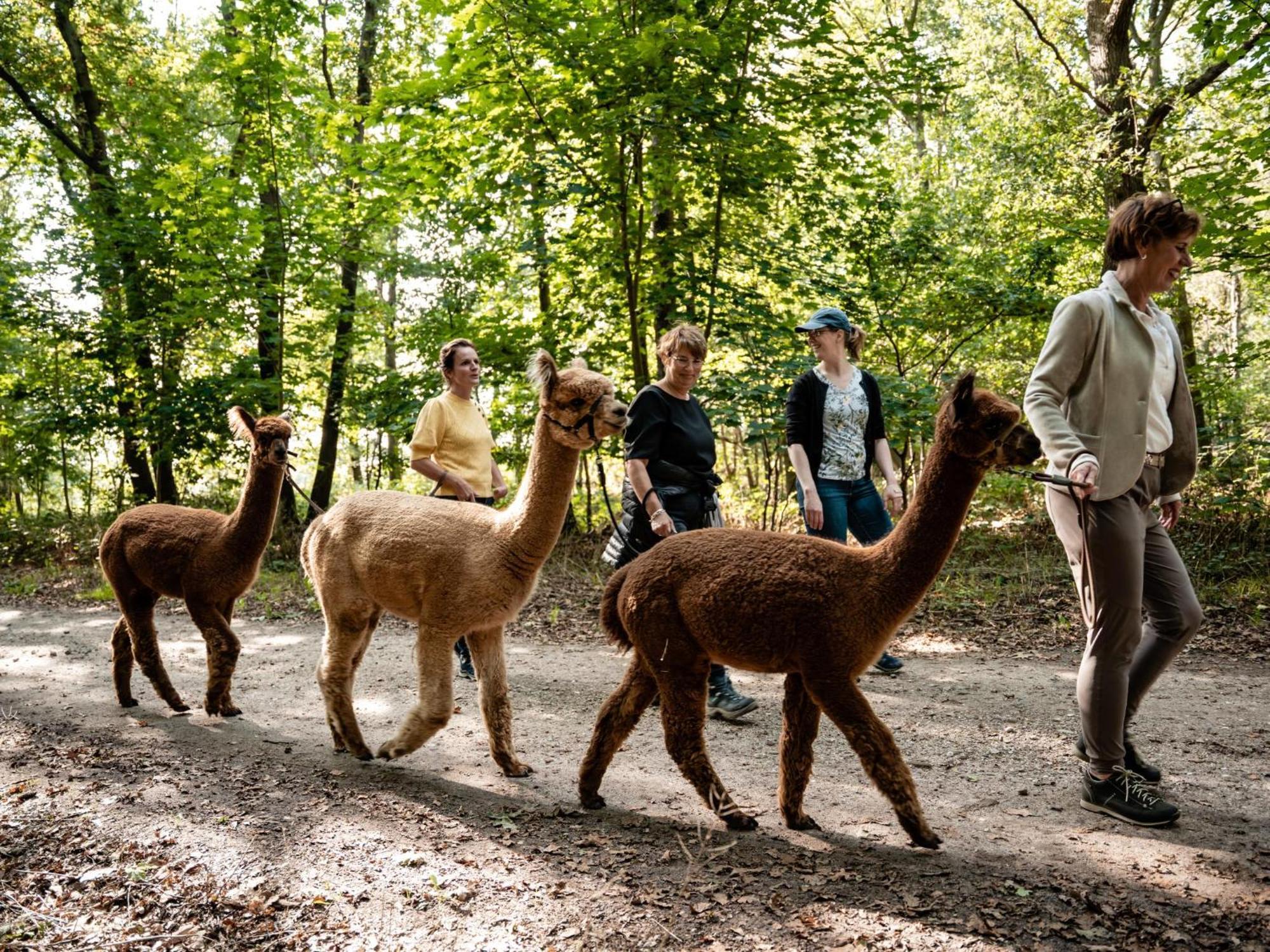 Alpacafarm Vorstenbosch 외부 사진